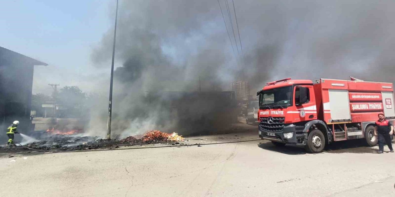 Şanlıurfa'nın Kamberiye Mahallesi'nde yangın paniği