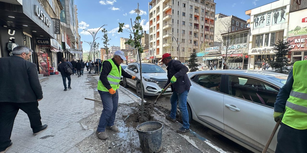 Cengiz Topel Caddesi’nde ağaçlandırma çalışmaları devam ediyor