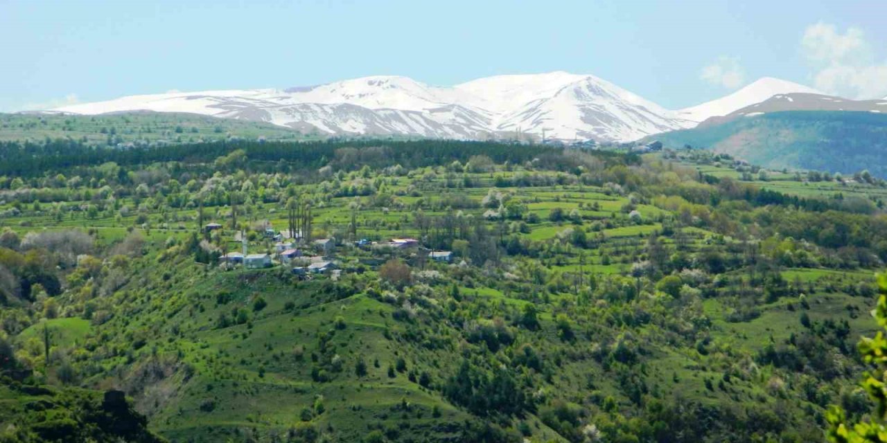 Posof’ta bahar manzaraları büyülüyor