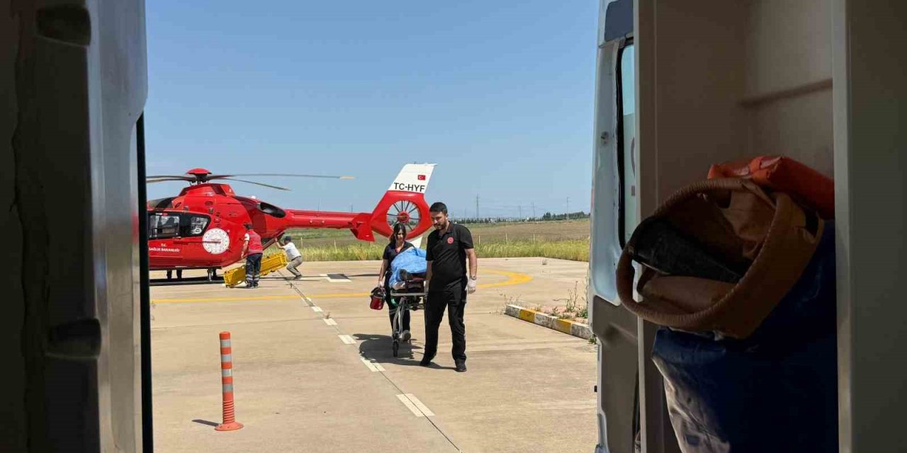 Kulp'ta ağaçtan düşen şahıs helikopterle hastaneye nakledildi