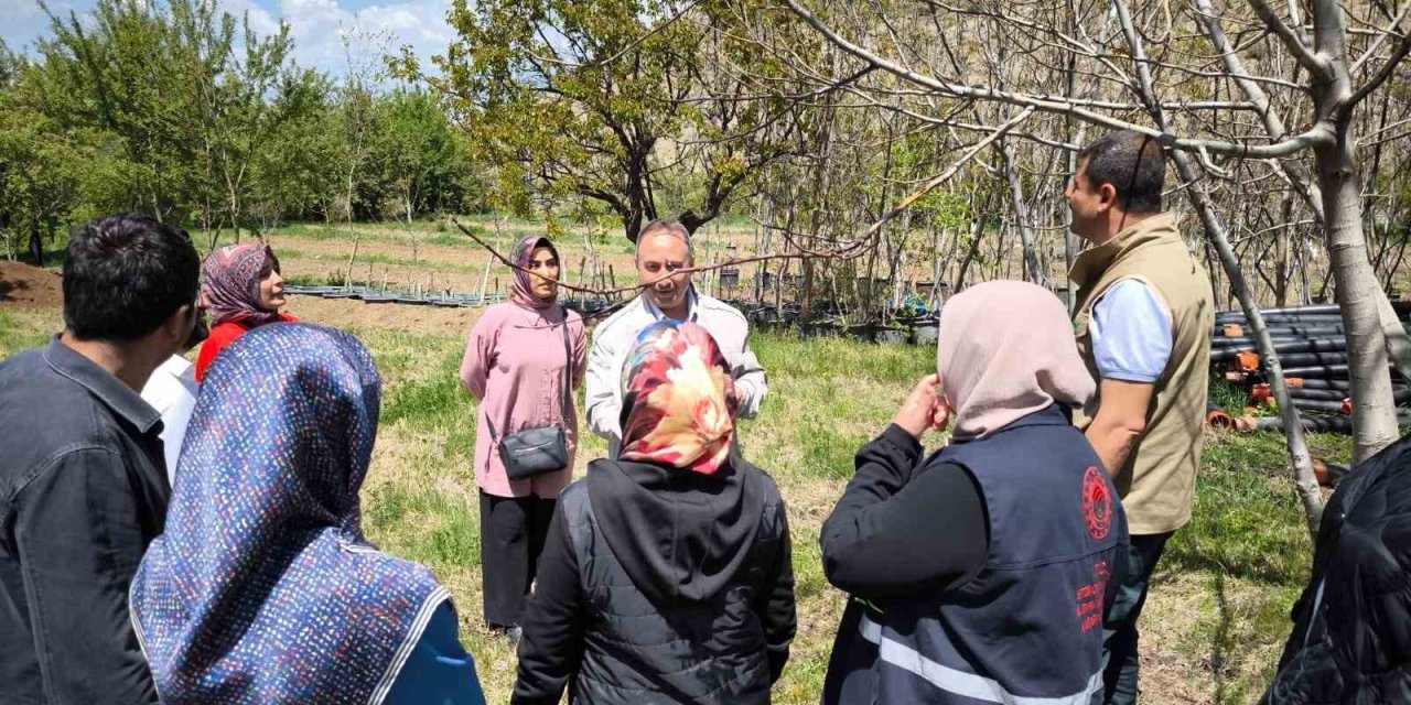 Zirai dona yönelik sigorta yaptıran çiftçilerin zararları inceleniyor