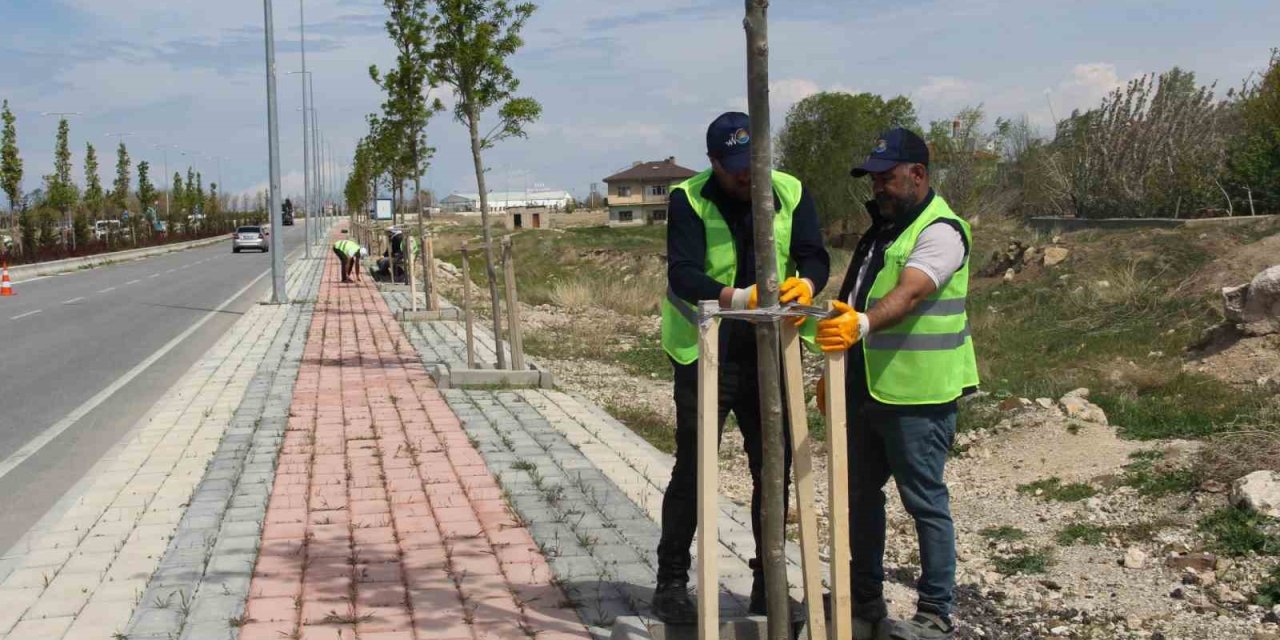 Van sahil yolunda çalışma
