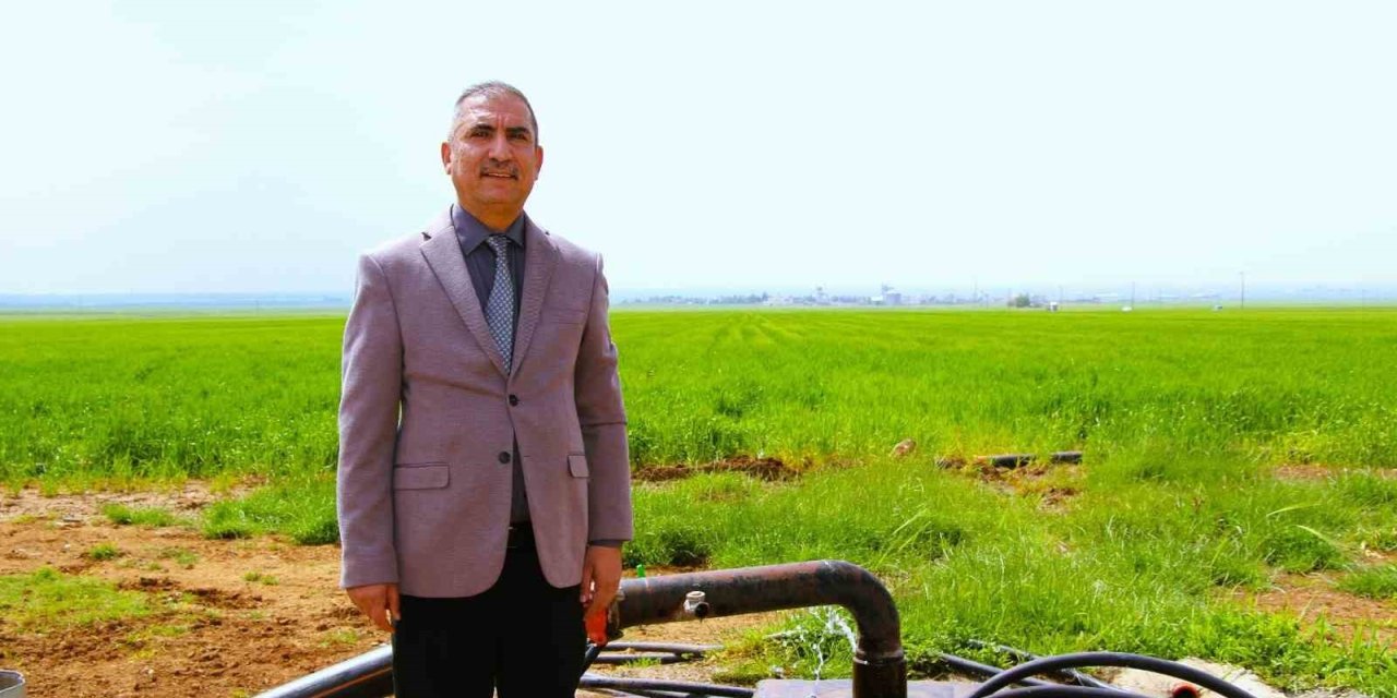Mardin Ovası tehlike altında