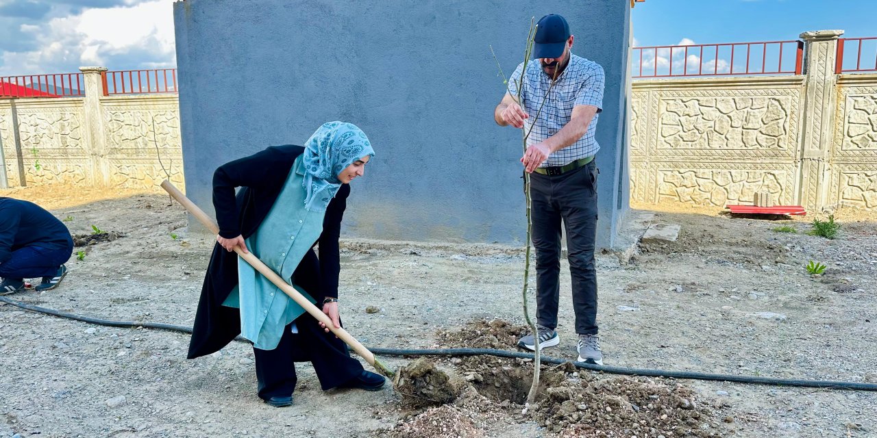 Yüksekova’da anneler günü için fidan dikimi kampanyası başlatıldı