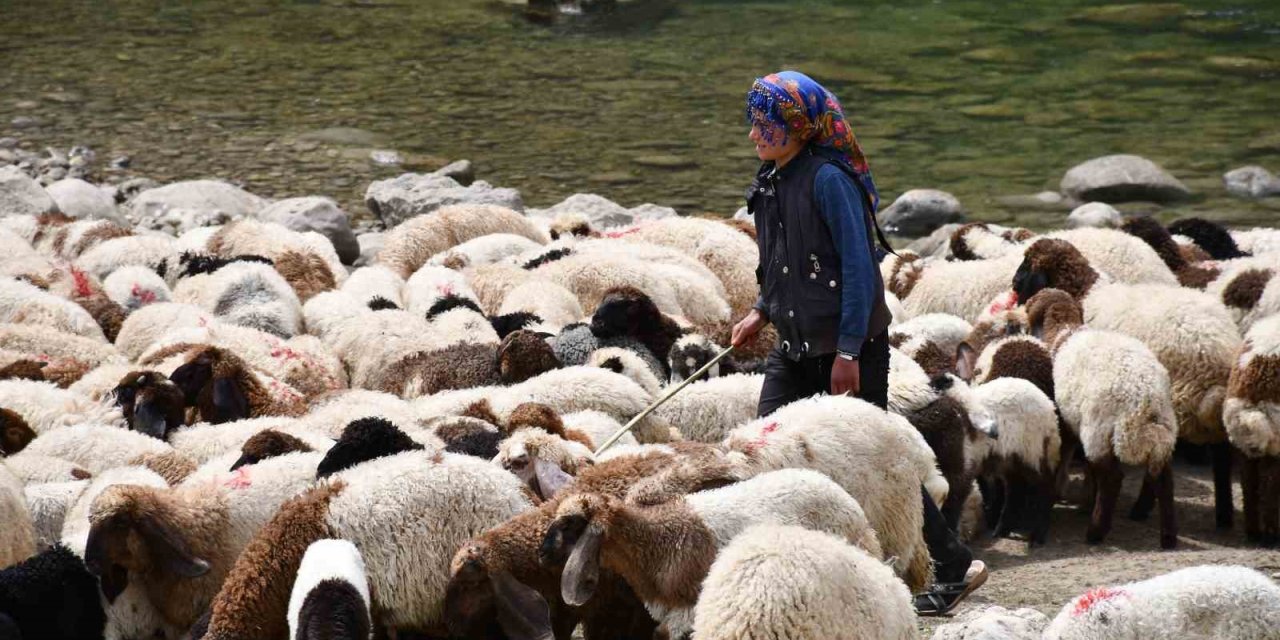 Sarp dağlarda 30 günlük yürüyüş: Rozerin’in hayali okul sırası görmek