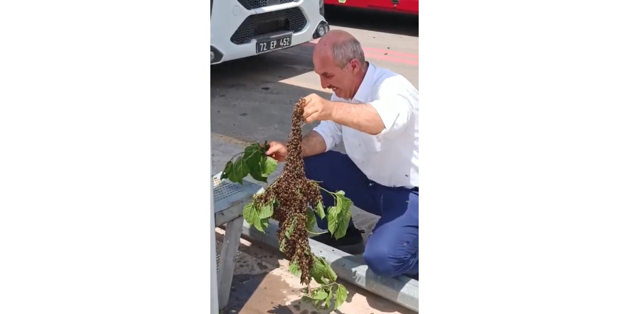 Otobüs durağında arı paniği