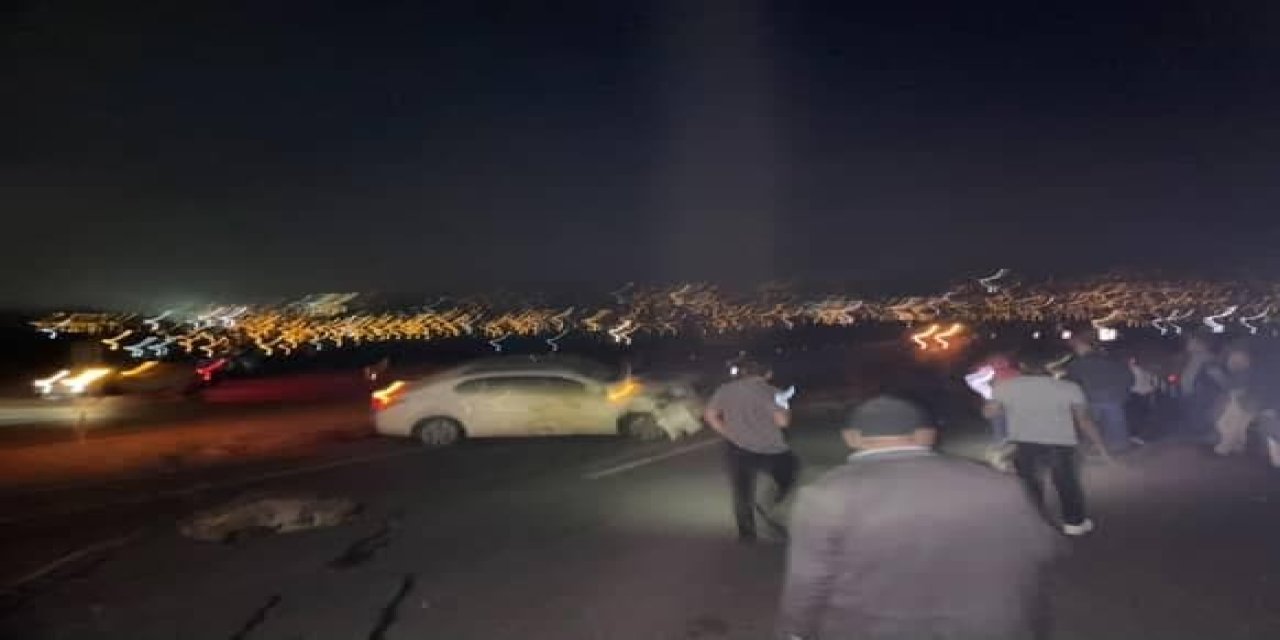 Otomobil koyun sürüsüne daldı: 15 koyun öldü