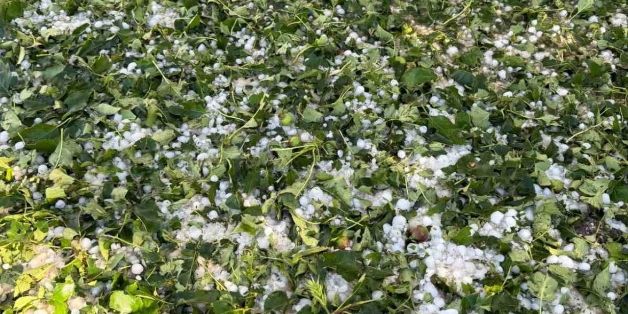 Mardin'de şiddetli dolu, 40 bin dekar tarım arazisini vurdu