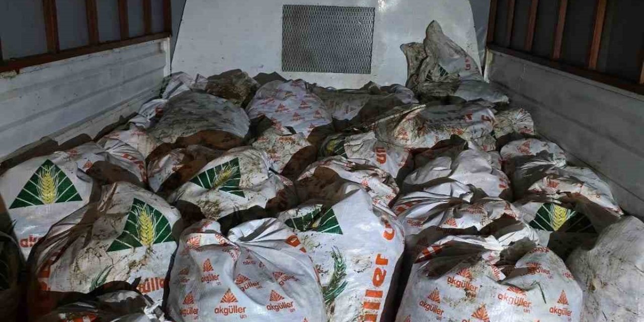 Van Gölü’nde kaçak avlanmaya geçit yok