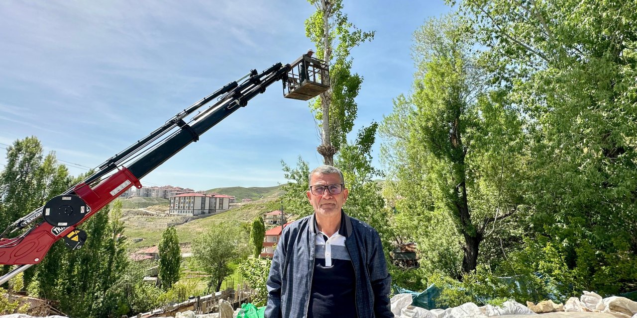 Engüdar: Polenli ağaç kesiminde dilekçe verilmesi şart