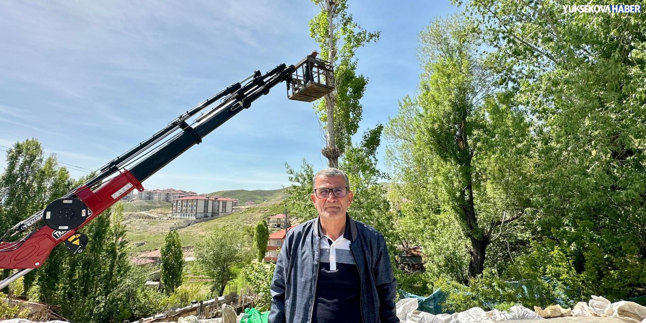 Engüdar: Polenli ağaç kesiminde dilekçe verilmesi şart