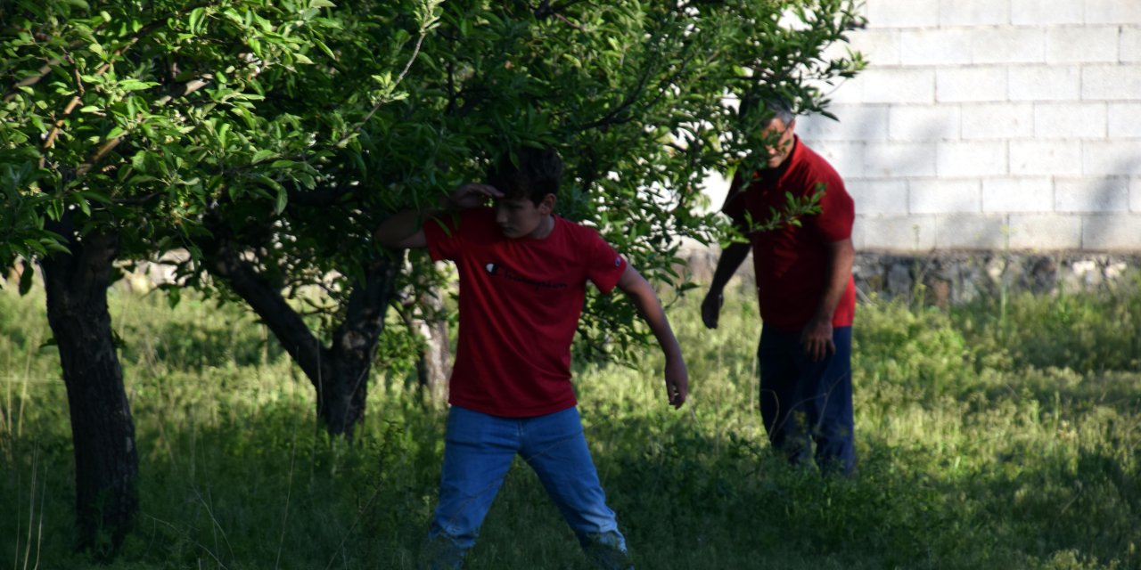Erciş'te kaybolan at için sokaklarda afiş arayışı