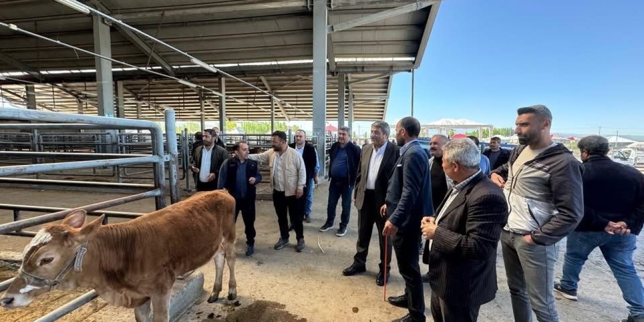 Belediye Başkanı, canlı hayvan borsası ve et entegre tesisinde incelemelerde bulundu
