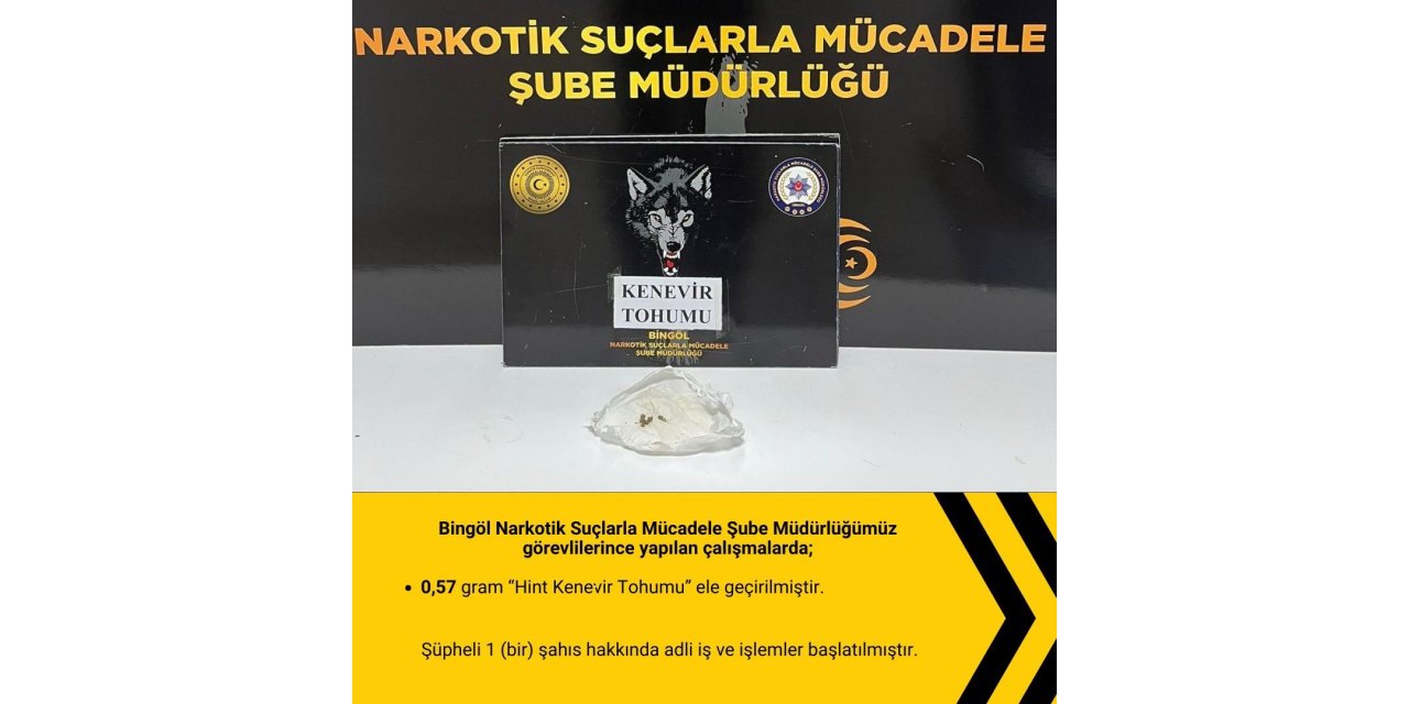 Bingöl’de polis uygulamasında bıçak ve hint keneviri tohumu ele geçirildi