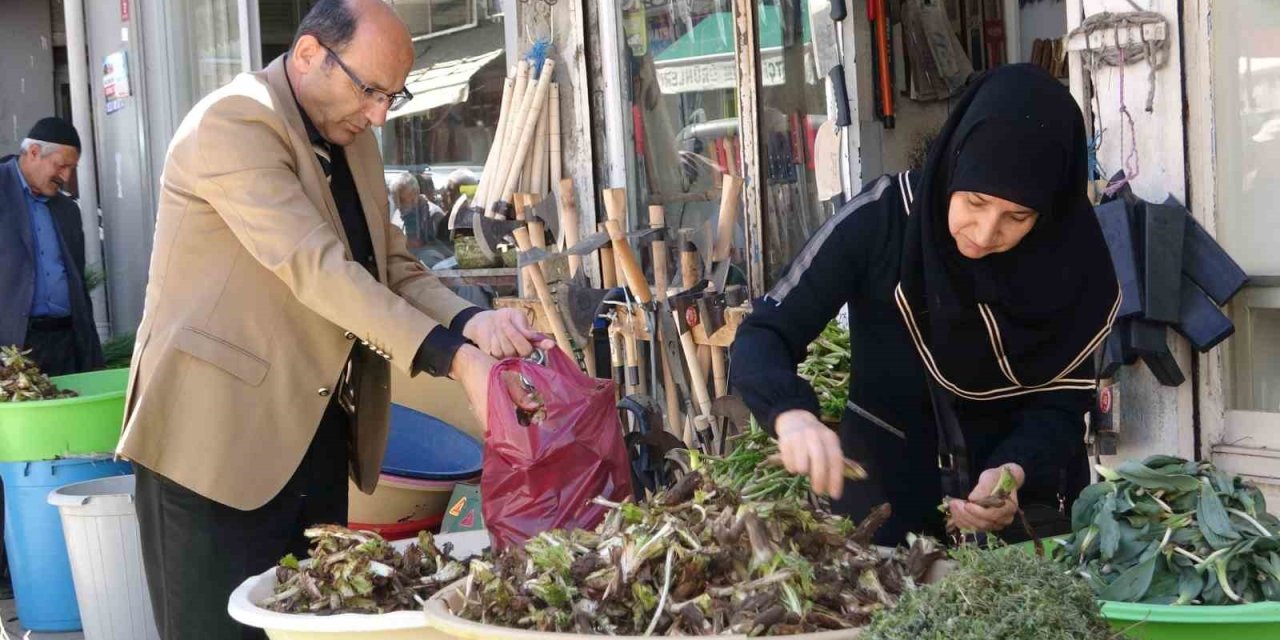 Dağlardan toplanan pancarlar hem şifa hem kazanç sağlıyor
