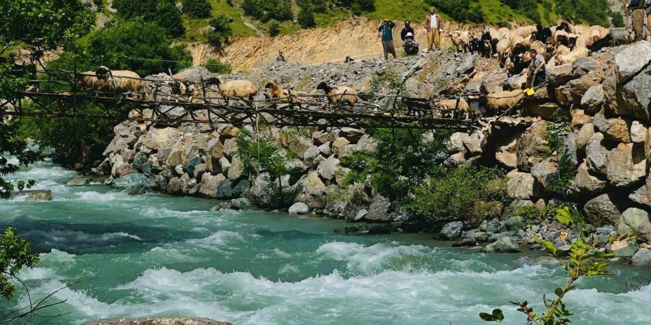 Avaşin Deresi’ndeki asma köprüden geçen koyun sürüsü görenleri hayran bıraktı
