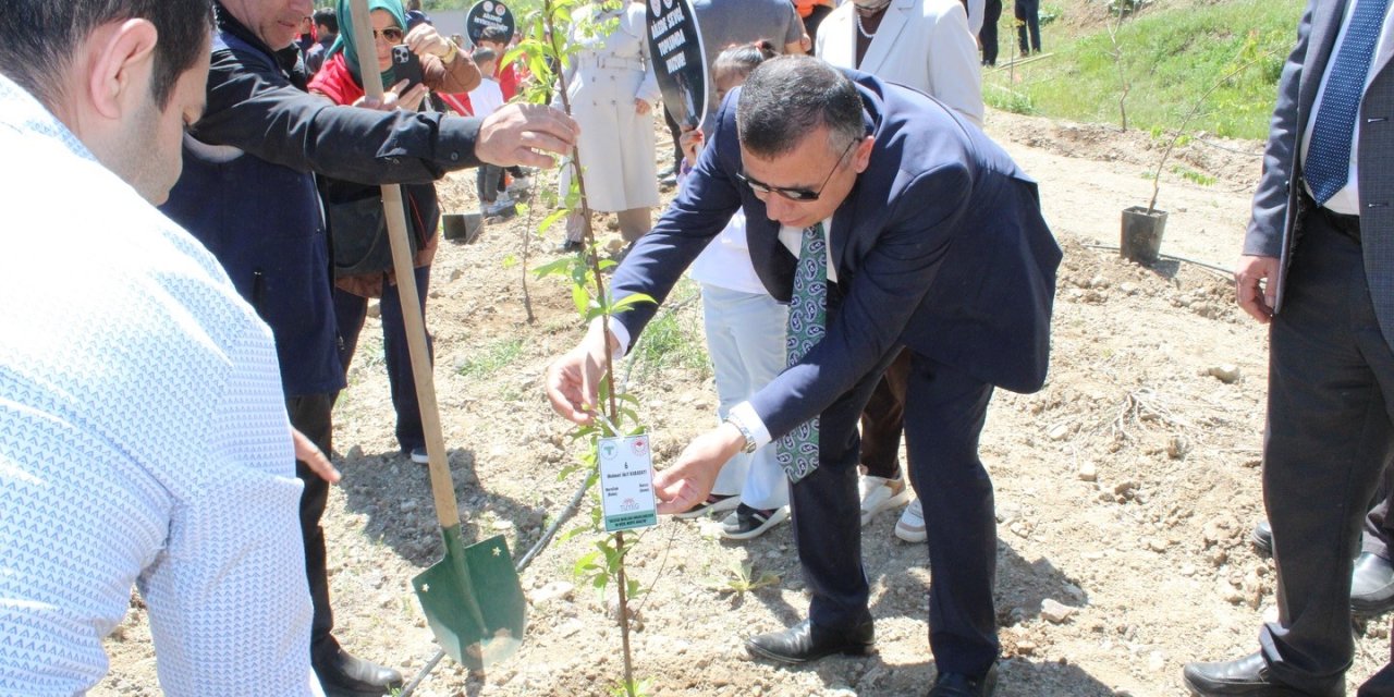 Tortum’da doğan her bebek için bir fidan