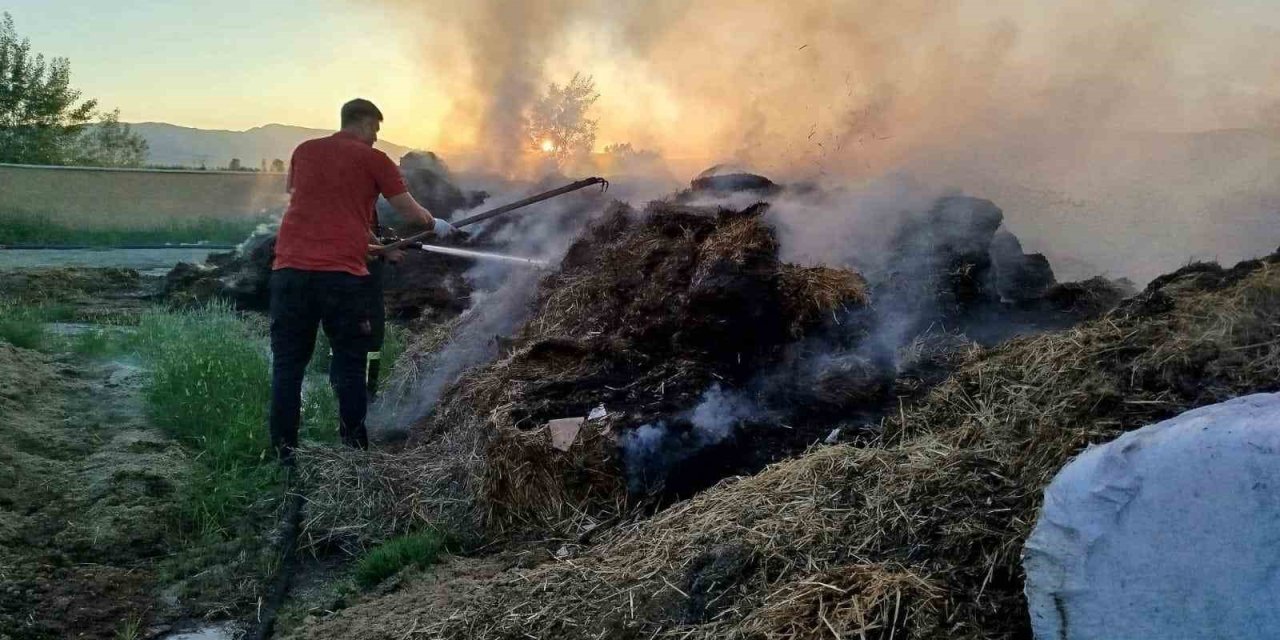 Samanlık yangını fazla büyümeden söndürüldü