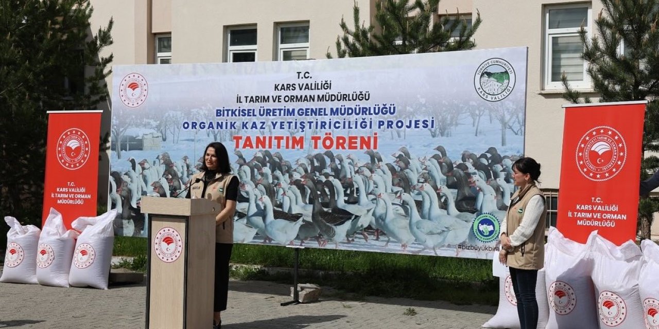 Kars’ta Organik Kaz Yetiştiriciliği Projesi başlatıldı
