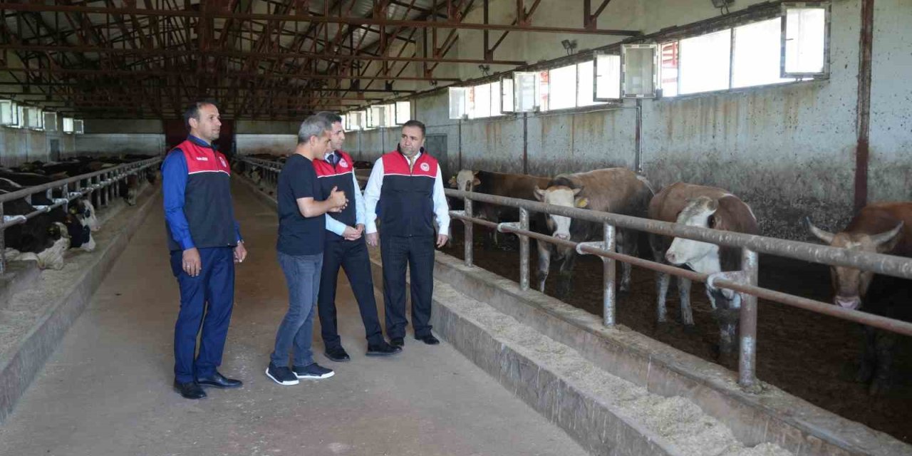 Muş’tan 30 bin hayvan sevk edildi, 3 milyar TL’lik gelir bekleniyor