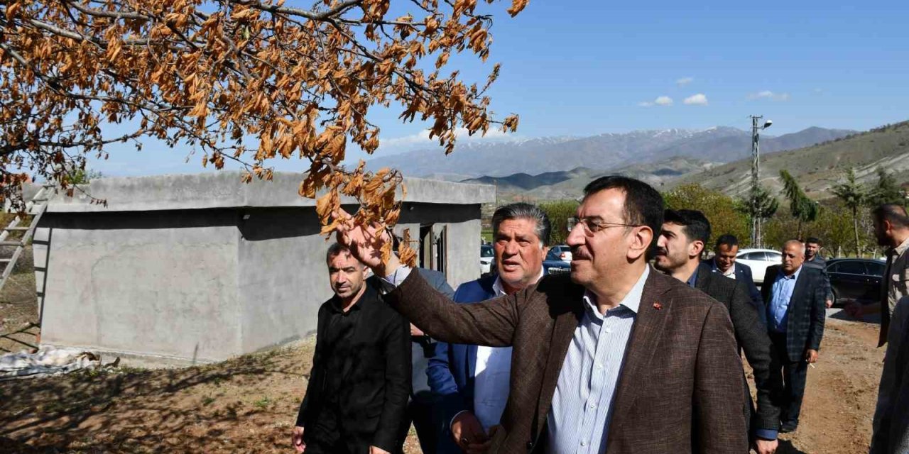 Zirai don destek ödemeleri kurban bayramından sonra yapılacak