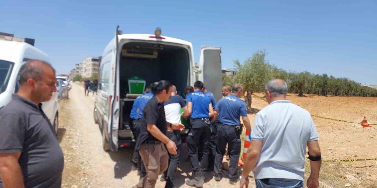 Antep’te bir genç zeytin tarlasında ölü bulundu