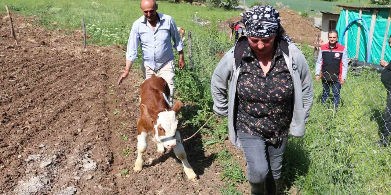 Gürcistanlı Nino, Erzincan’da çiftçilik yapıyor
