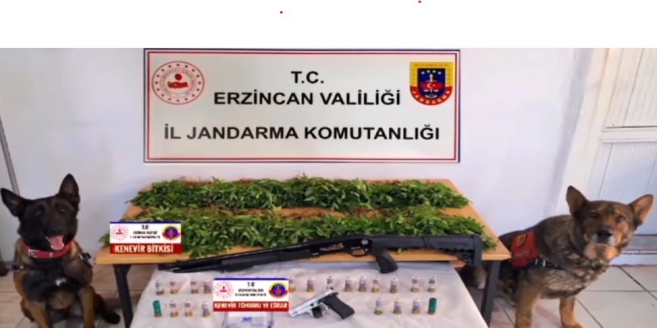 Erzincan’da uyuşturucu operasyonu gerçekleştirildi