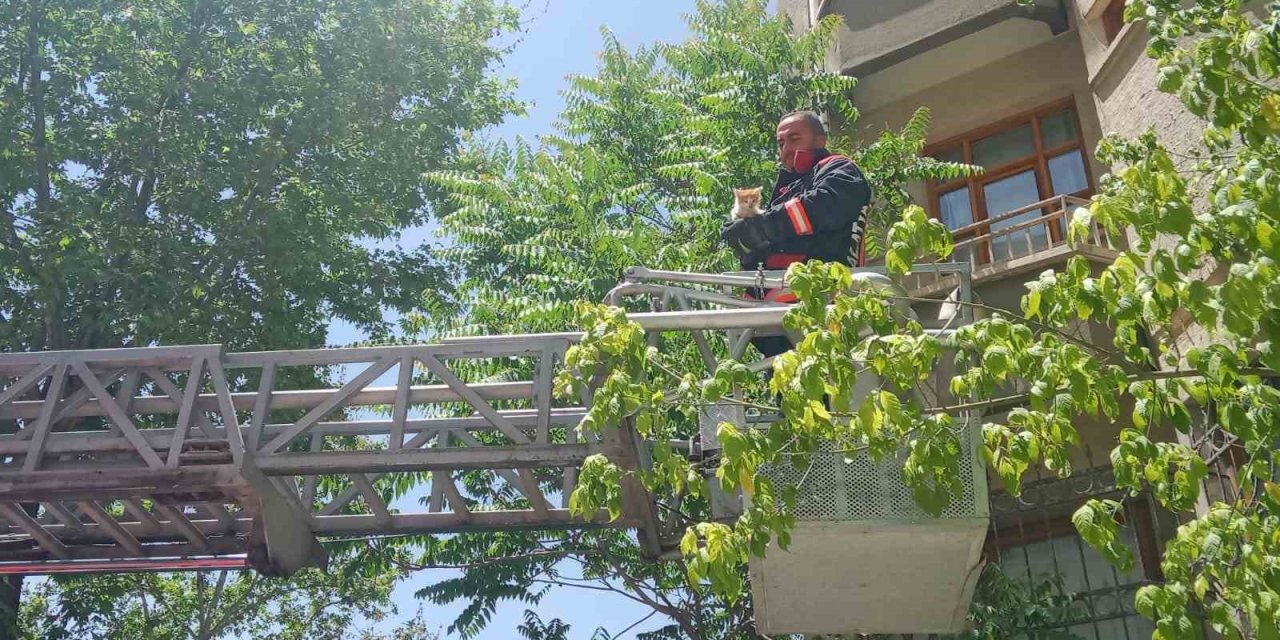 Battalgazi’de metruk evin penceresine sıkışan yavru kedi kurtarıldı