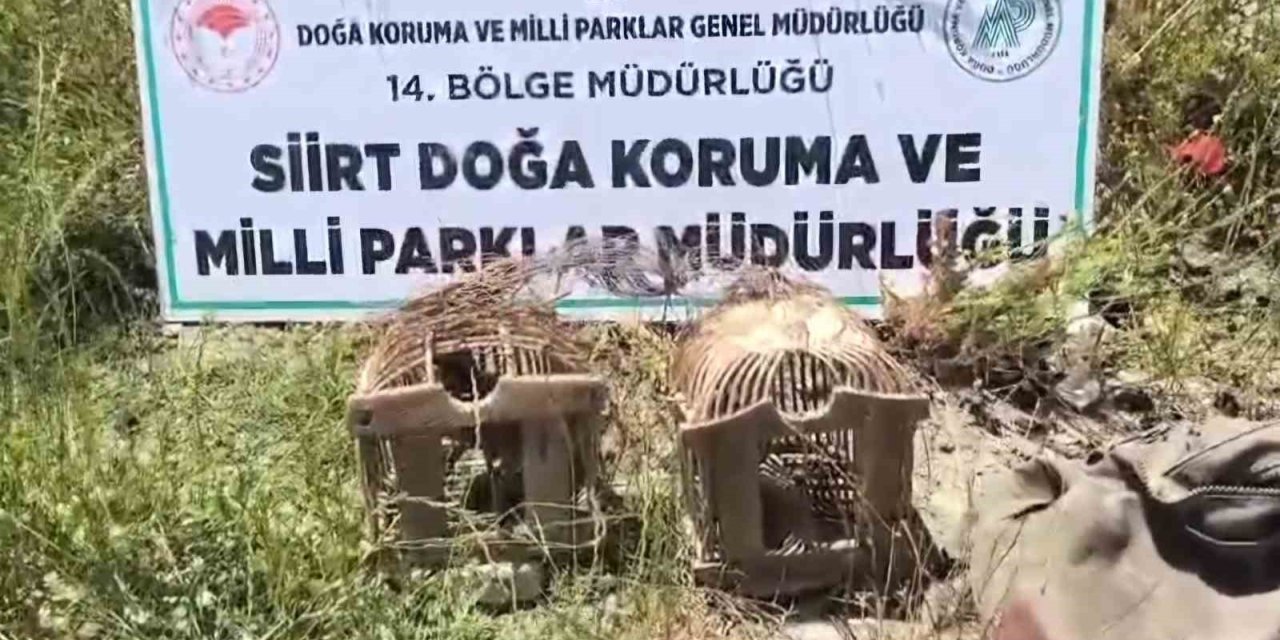 Siirt’te canlı kınalı keklik avına ağır ceza