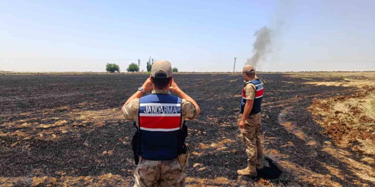 Şanlıurfa’da anız yakanlara ceza yağacak