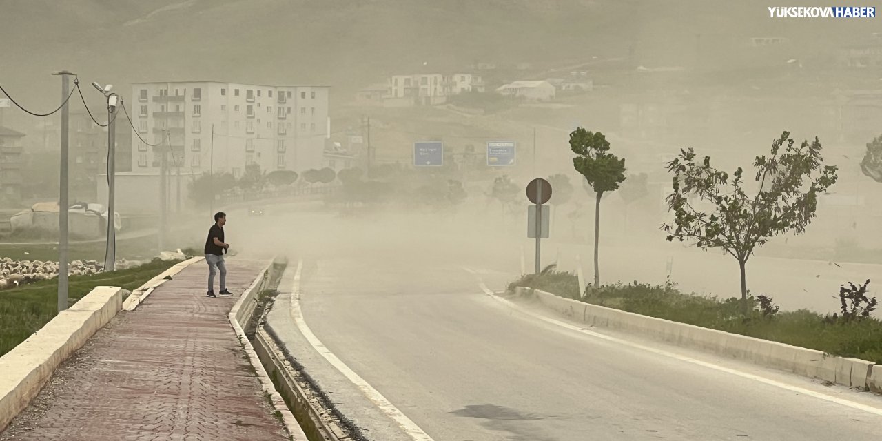 Bir anda bastırdı, Yüksekova tozla kaplandı