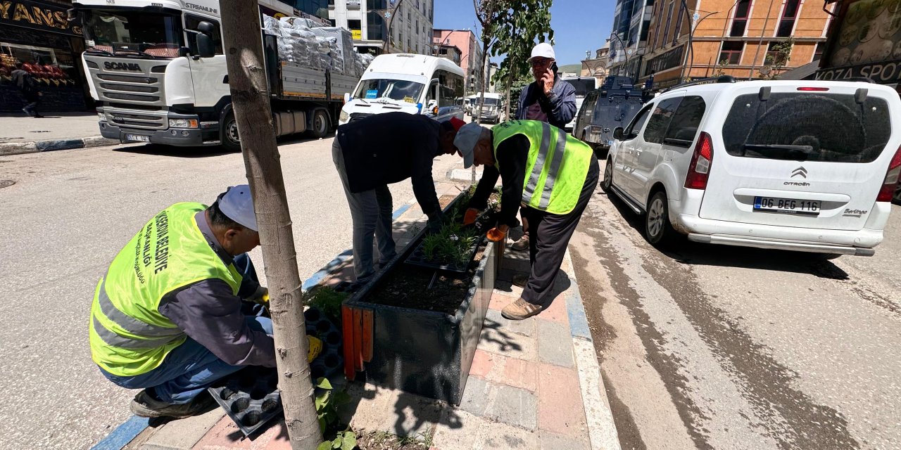 Yüksekova’nın Cengiz Topel Caddesi’nde 2 bin 500 çiçek dikildi