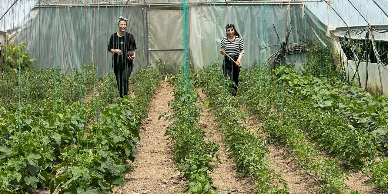 Yüksekova’da iki kadın kendi imkânlarıyla sera kurdu