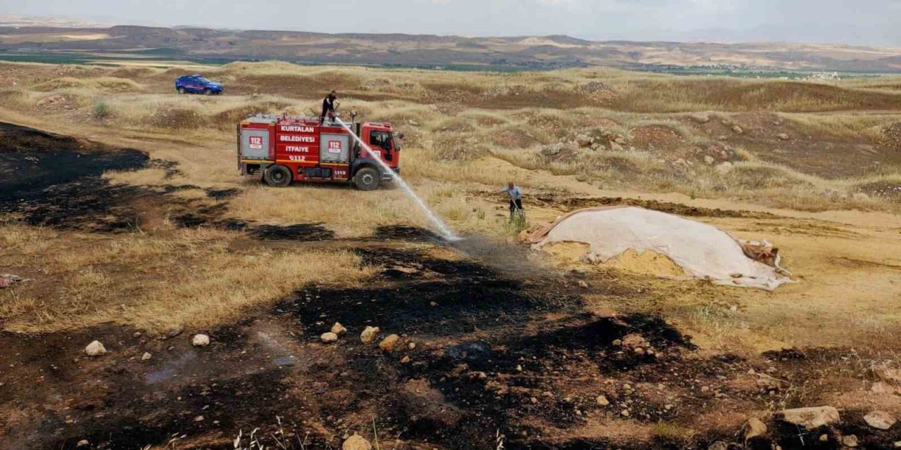 Siirt’te ekili alanda yangın