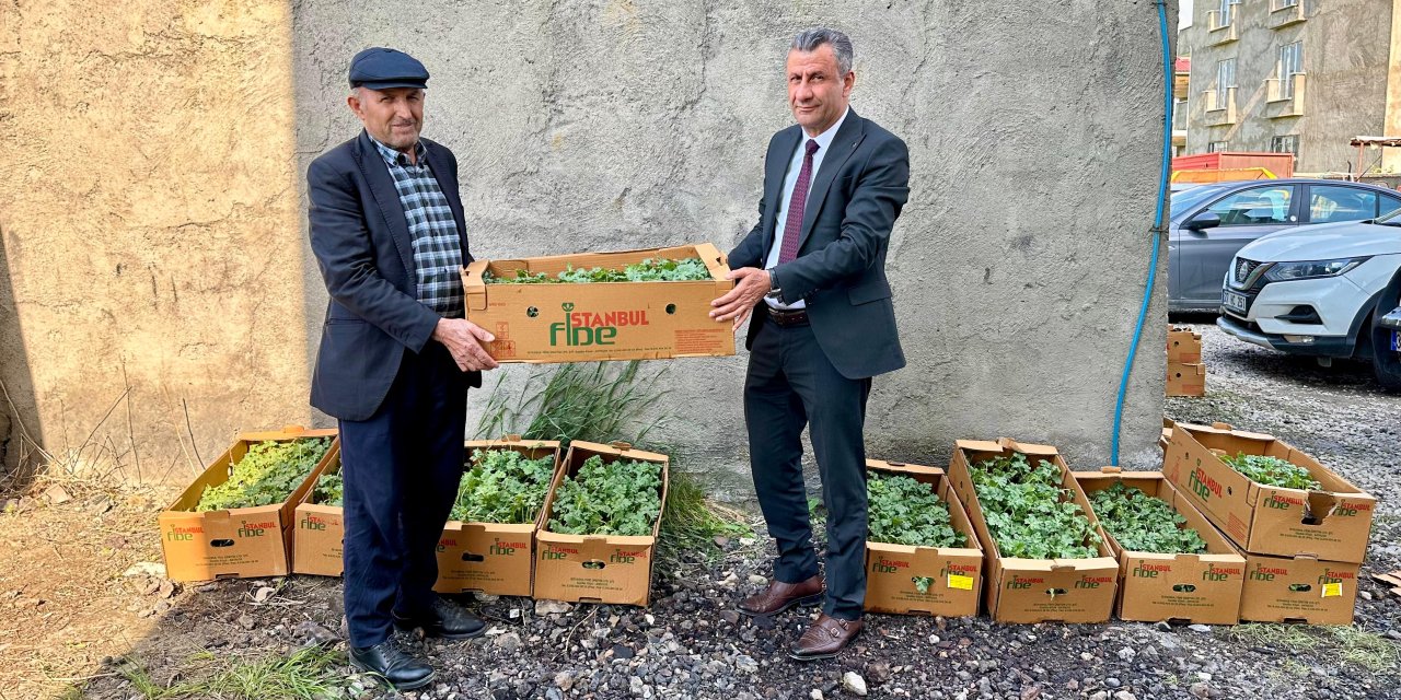 Yüksekova’da 174 bin 500 hibeli fide dağıtıldı: Dağıtımda sona gelindi