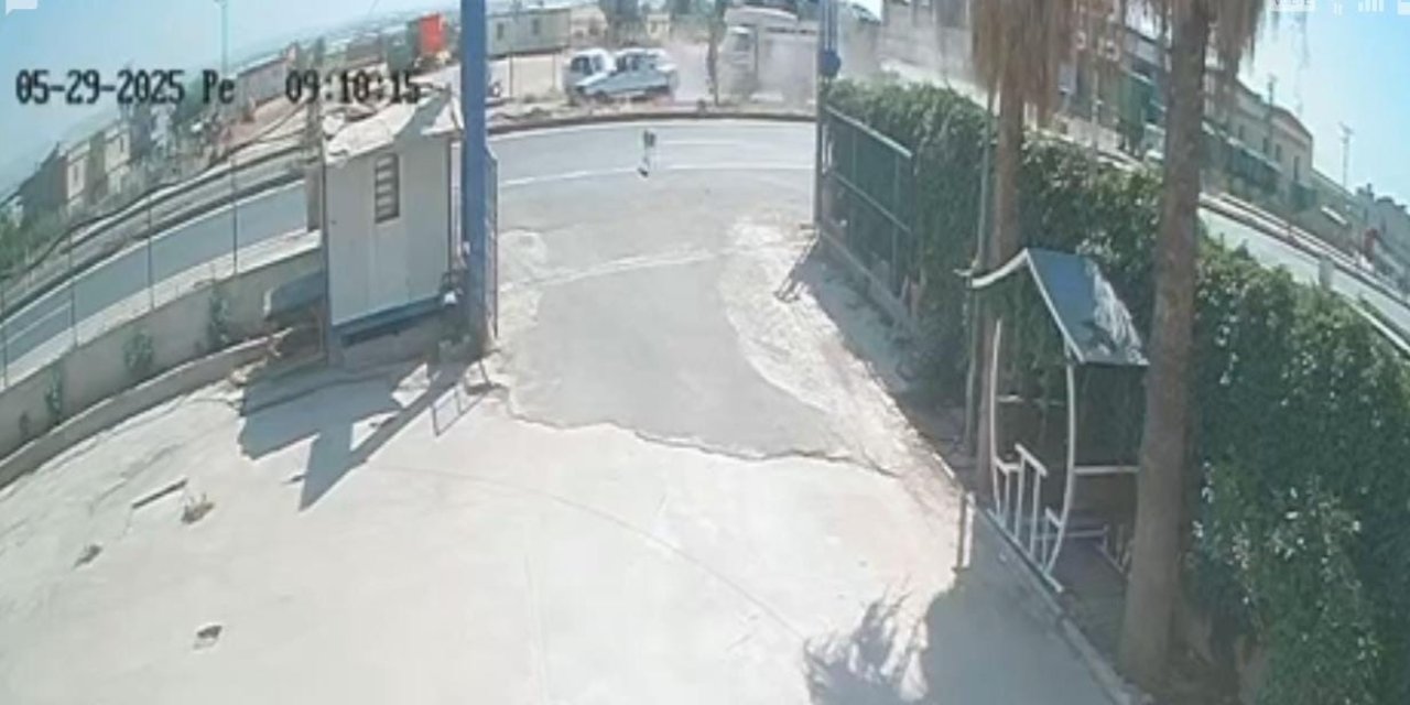Şanlıurfa’da sokak köpeği kazaya neden oldu