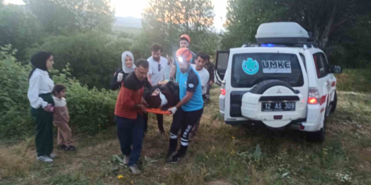 Bingöl’de otomobil uçuruma yuvarlandı