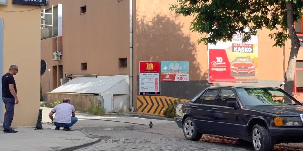 Erzincan’da yavru karga kurtarıldı