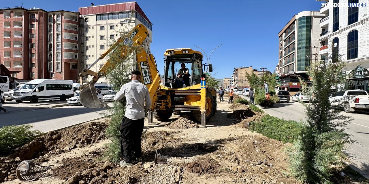 Yüksekova’nın İpekyolu Caddesi’ne 4 bin ağaç dikiliyor