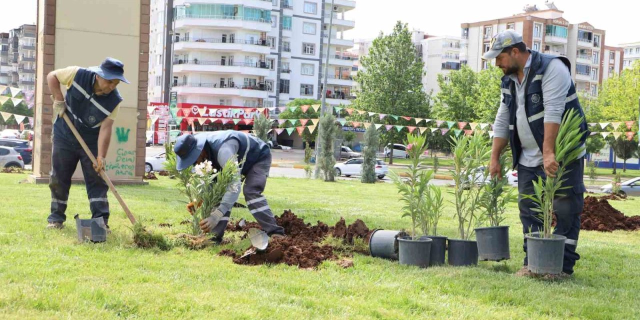 Mahabad Bulvarında peyzaj çalışmaları sürüyor