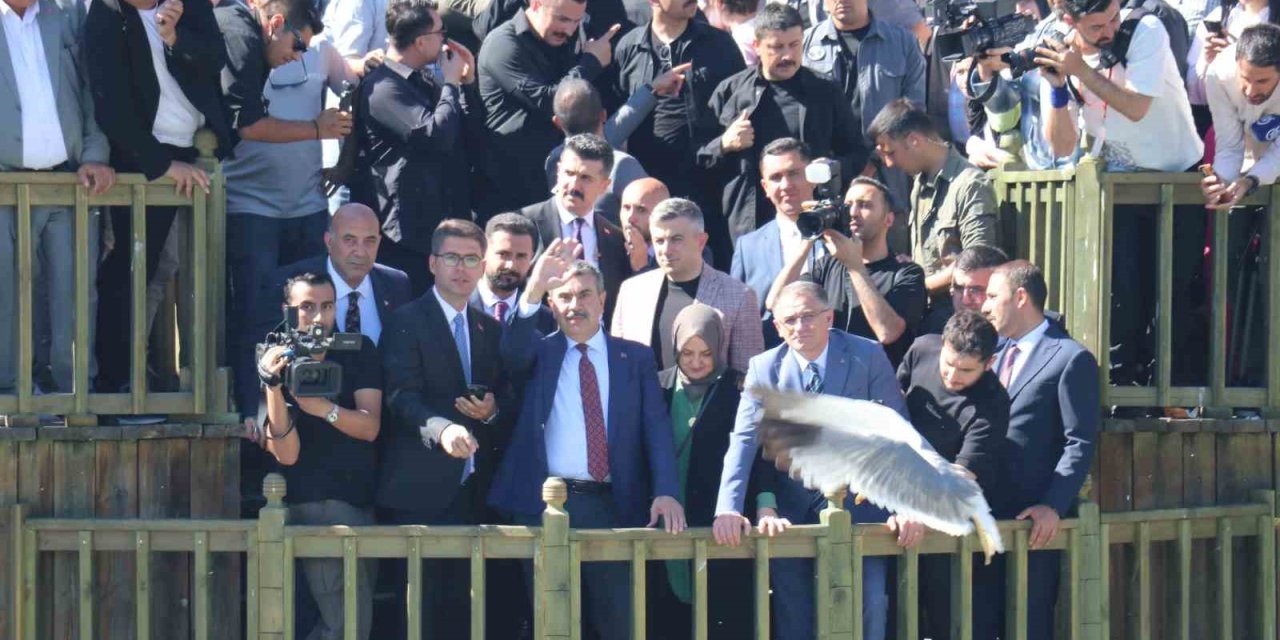Bakan Tekin, inci kefali göçünü izledi