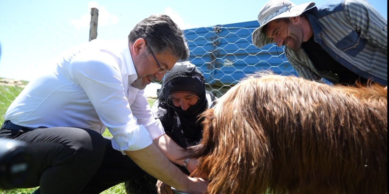 Bakan Yumaklı, süt sağan kadınlara eşlik etti