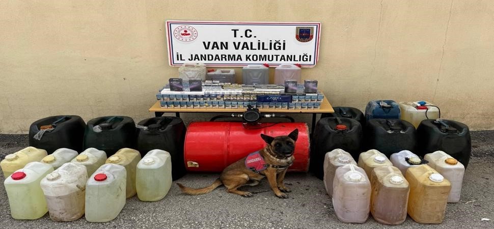 Van’da gümrük kaçakçılığı operasyonu