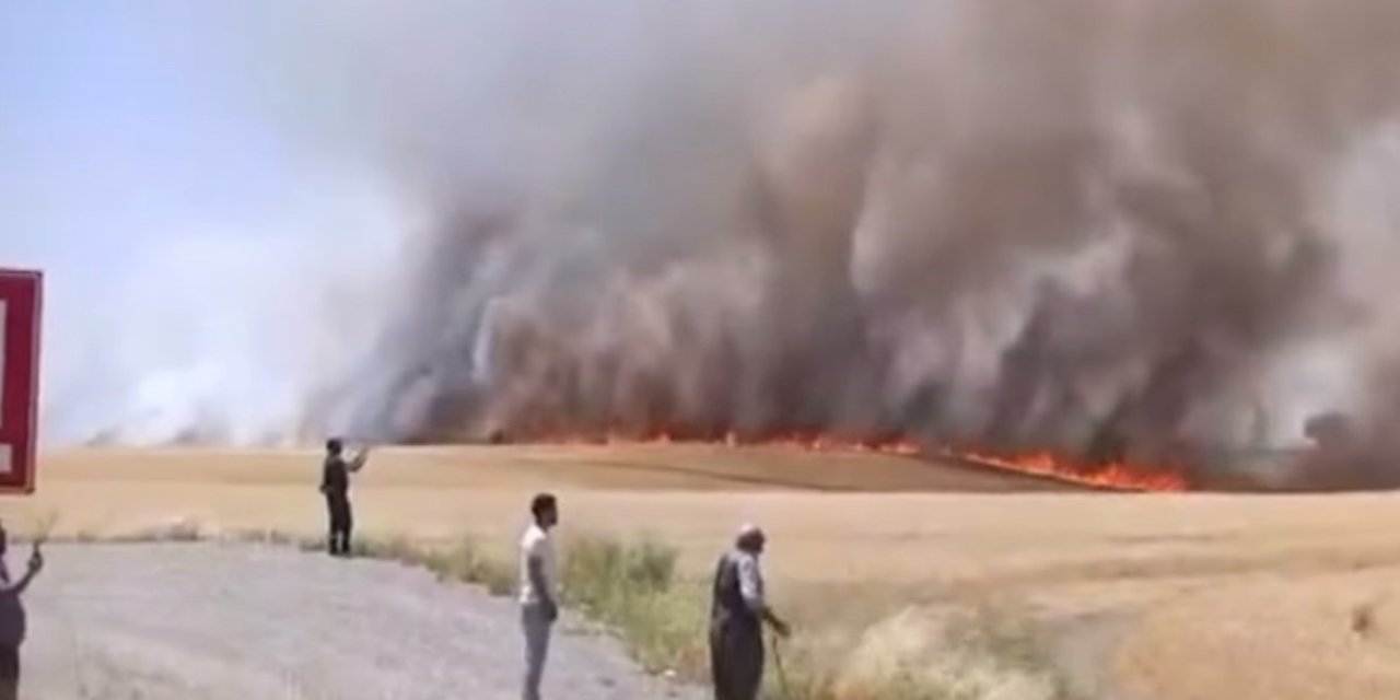 Diyarbakır’da bin dönümden fazla arazi yangında kül oldu