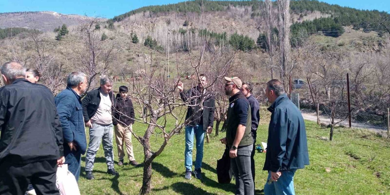 Posof’ta meyve ağaçlarını budama ve aşılama kursu