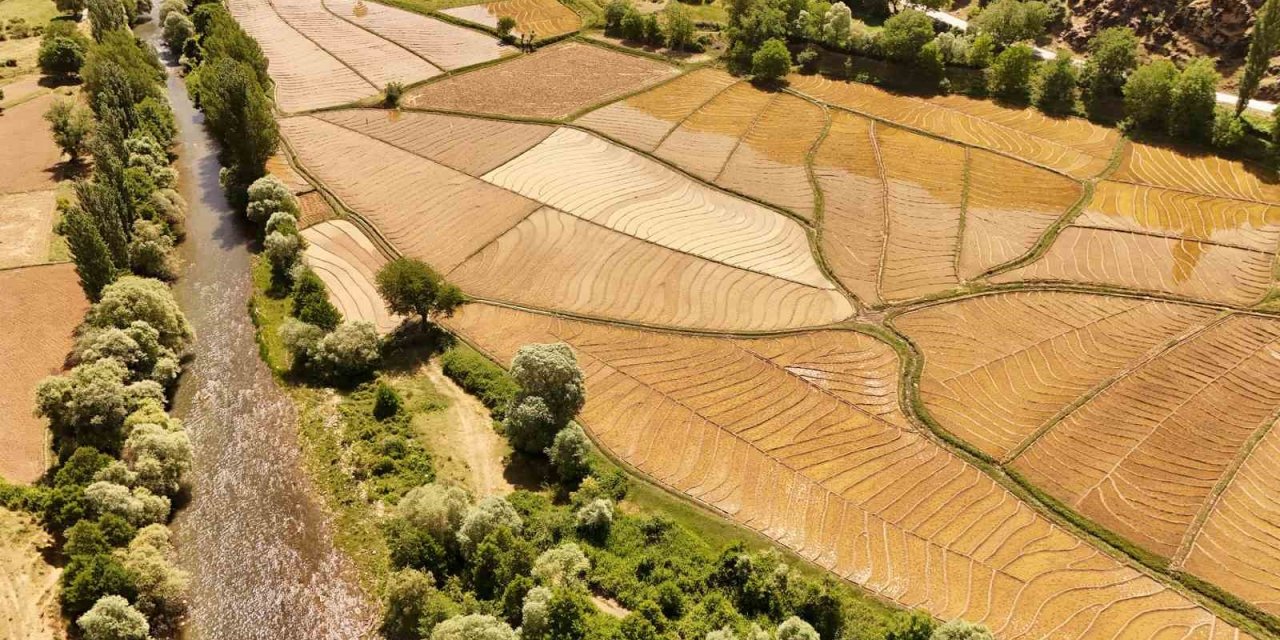 Bitlis’te yüz yıllardır imece usulü ekim yapılıyor