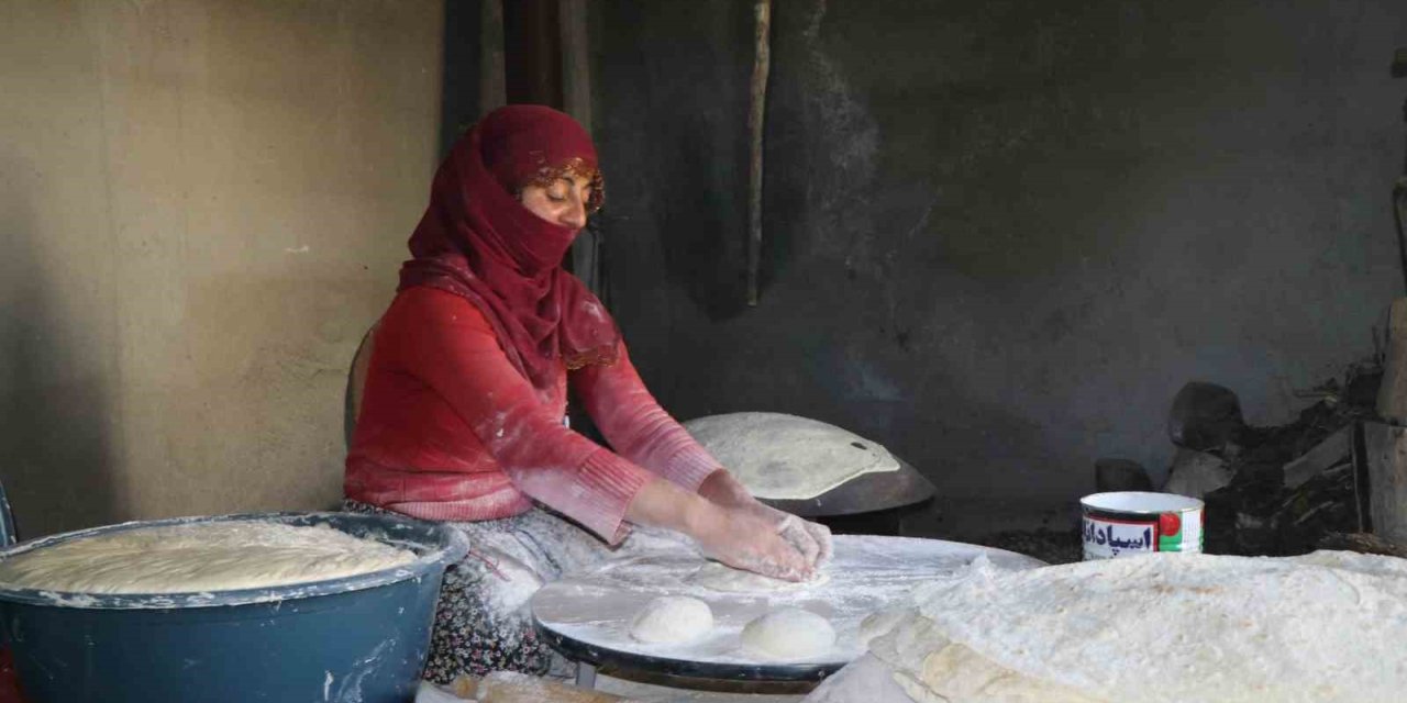 Ağrı'da yayla hazırlıkları başladı