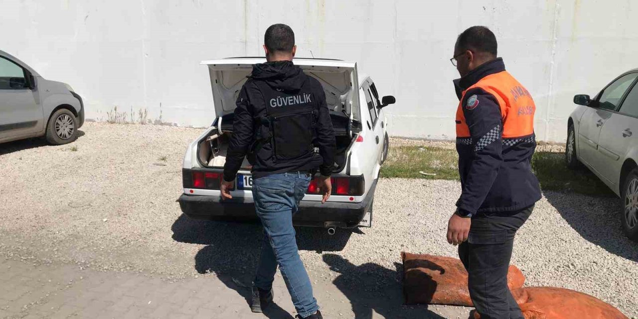 Van’da 22 ton 475 kilogram kaçak avlanmış balık yakalandı