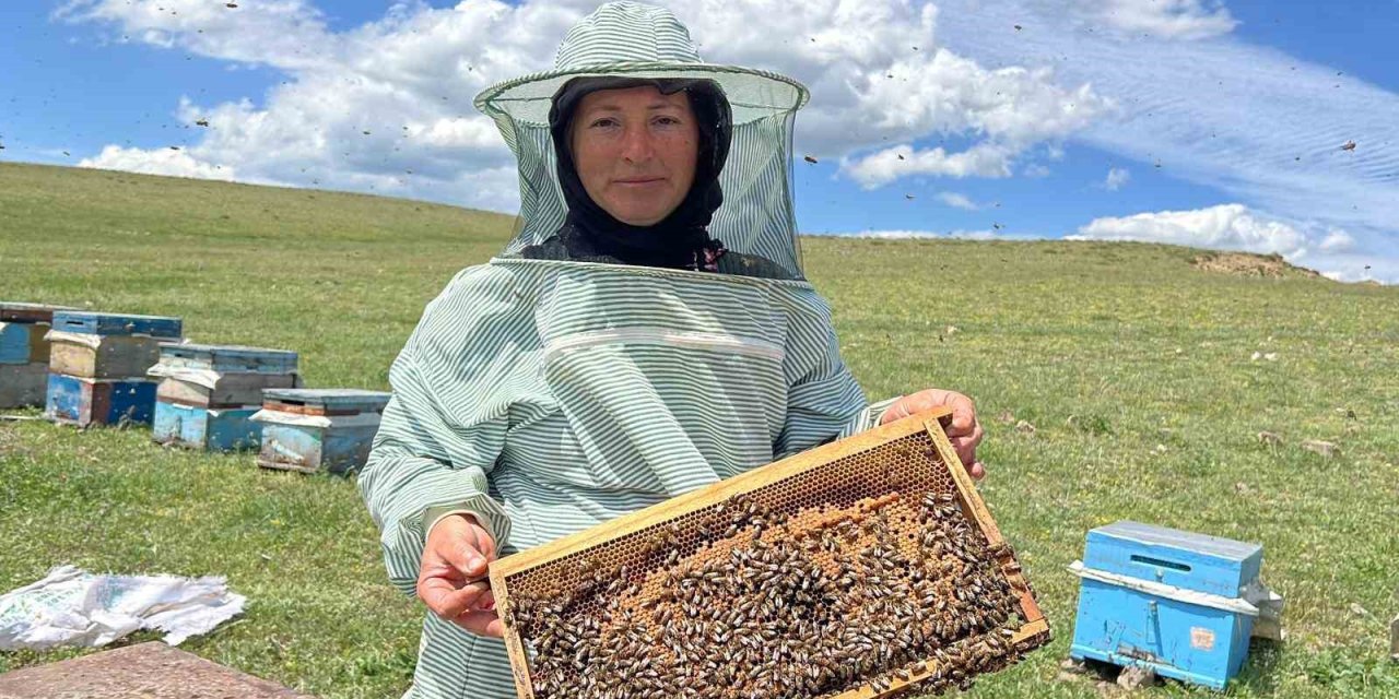 Baba mesleği arıcılığı 21 yıldır eşiyle birlikte yapıyor